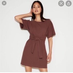 Express Mauve Mini Dress